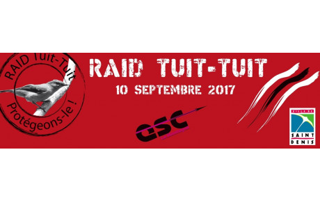 raid tuit tuit